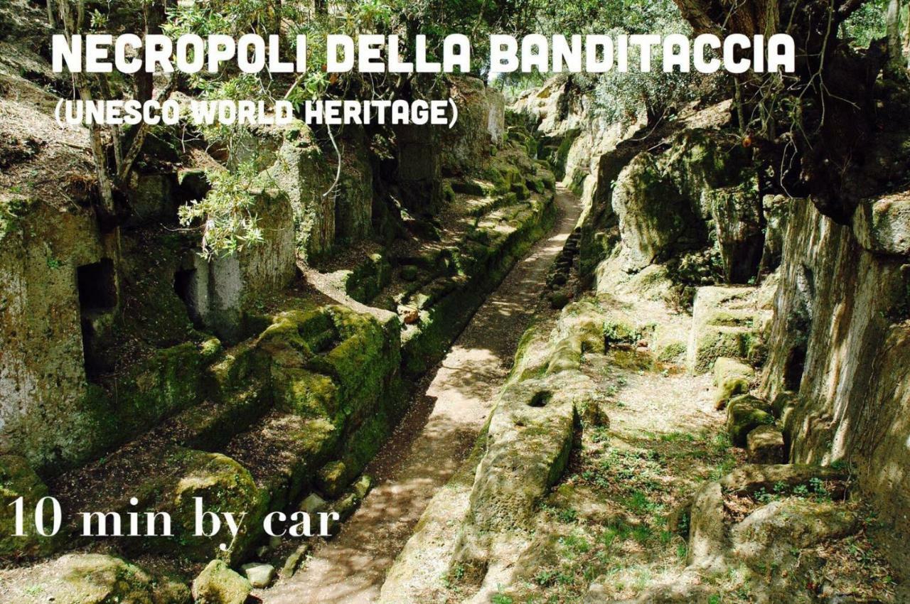 Апартаменты Domus Palombi Ладисполи Экстерьер фото